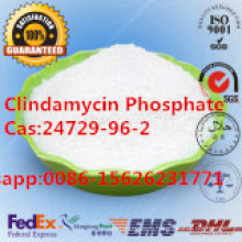 Antibiotique CAS: 24729-96-2 chimique pharmaceutique de phosphate de Clindamycin